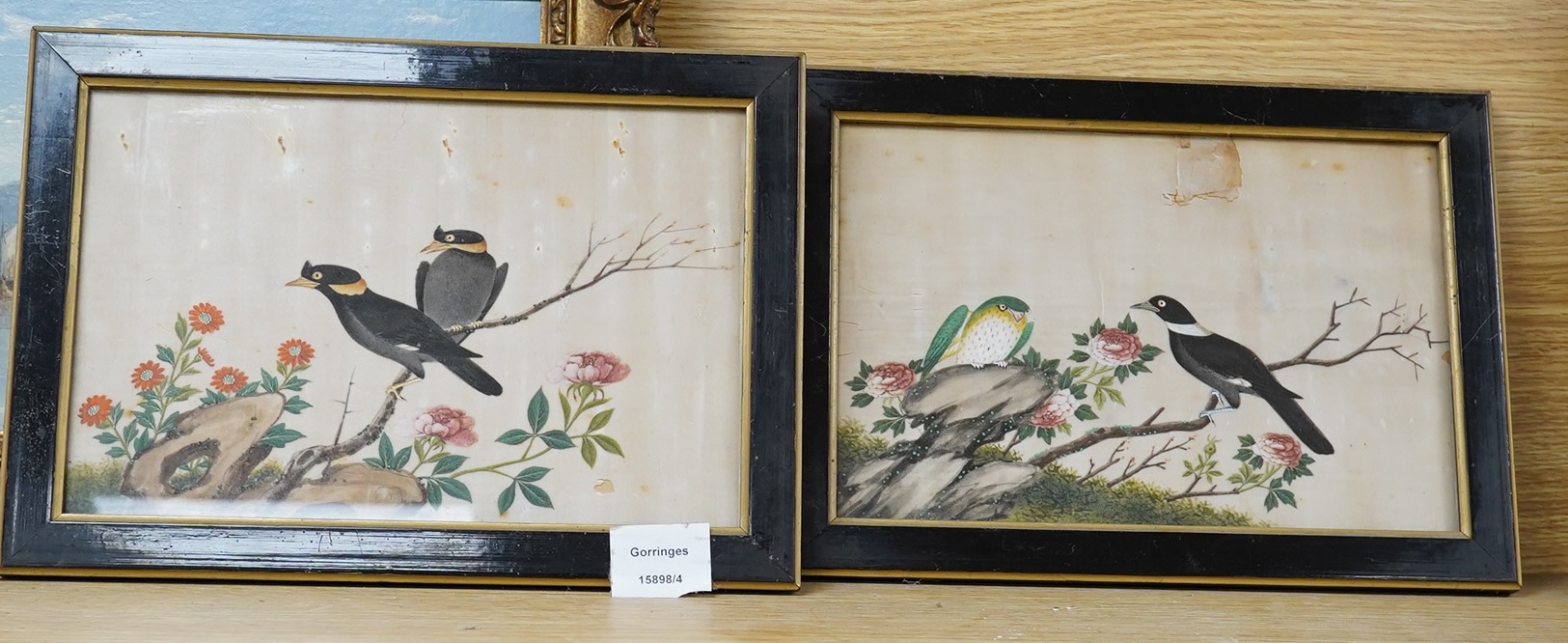 19th century, Cantonese School, pair of pith paper paintings, Birds of Paradise amongst Peonies, 17.5 x 27cm. Condition - poor